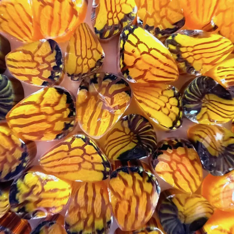Banded Orange Butterfly Millefiori Murrine COE096