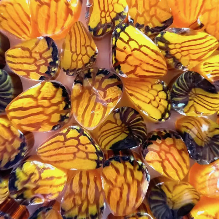 Banded Orange Butterfly Millefiori Murrine COE096