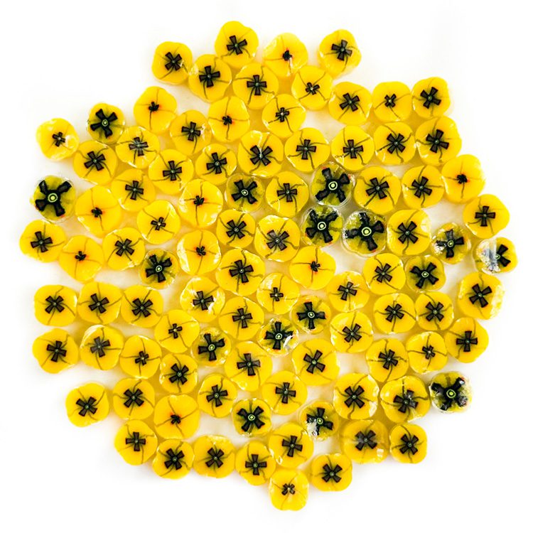 Yellow Poppy Millefiori Murrine COE090