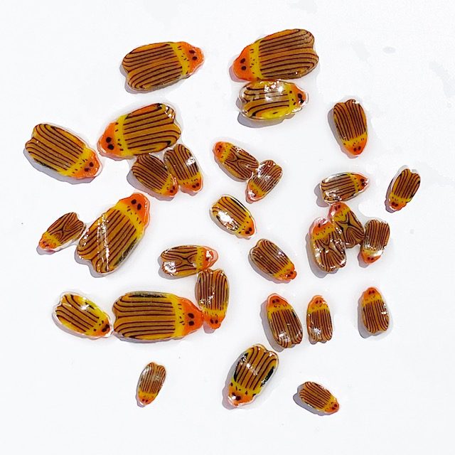Stripy Orange Bugs Mixed Size Millefiori Murrine COE090