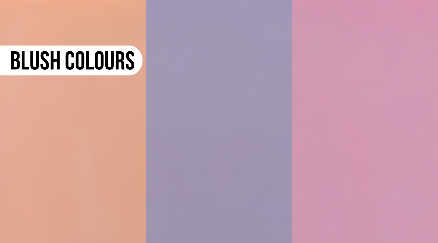 Our Newest Additions