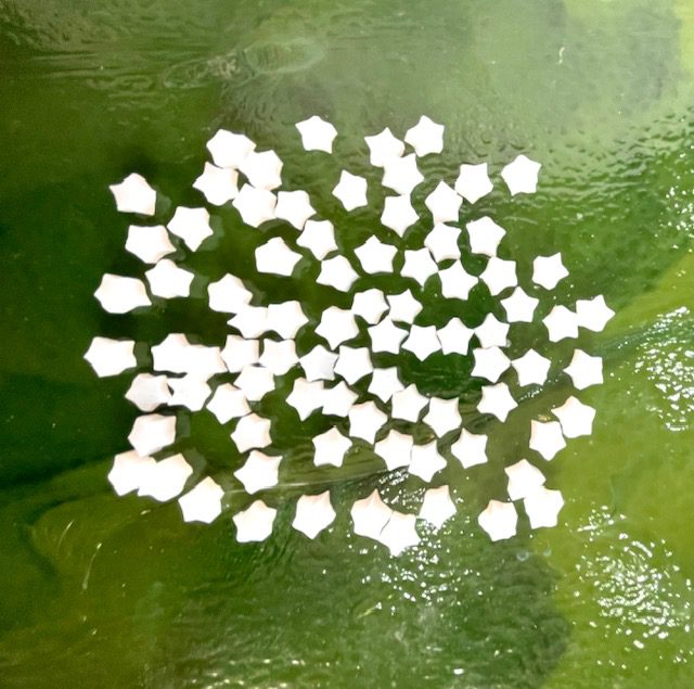 Simple White Star Millefiori Murrine COE096