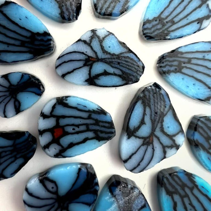 Adonis Butterfly Millefiori Murrine COE090