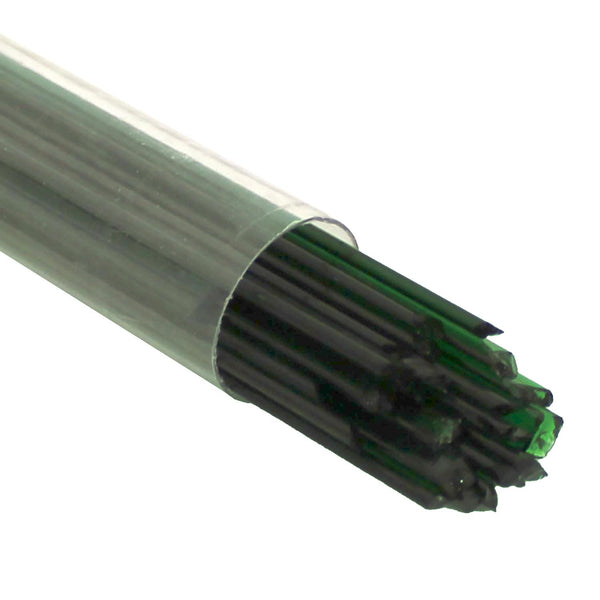 Dark Green Transparent Oceanside Noodles 125
