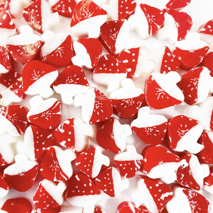 Mushrooms Millefiori Murrine COE096