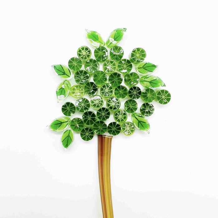 Lime Slices - Fruit Millefiori Murrine COE096