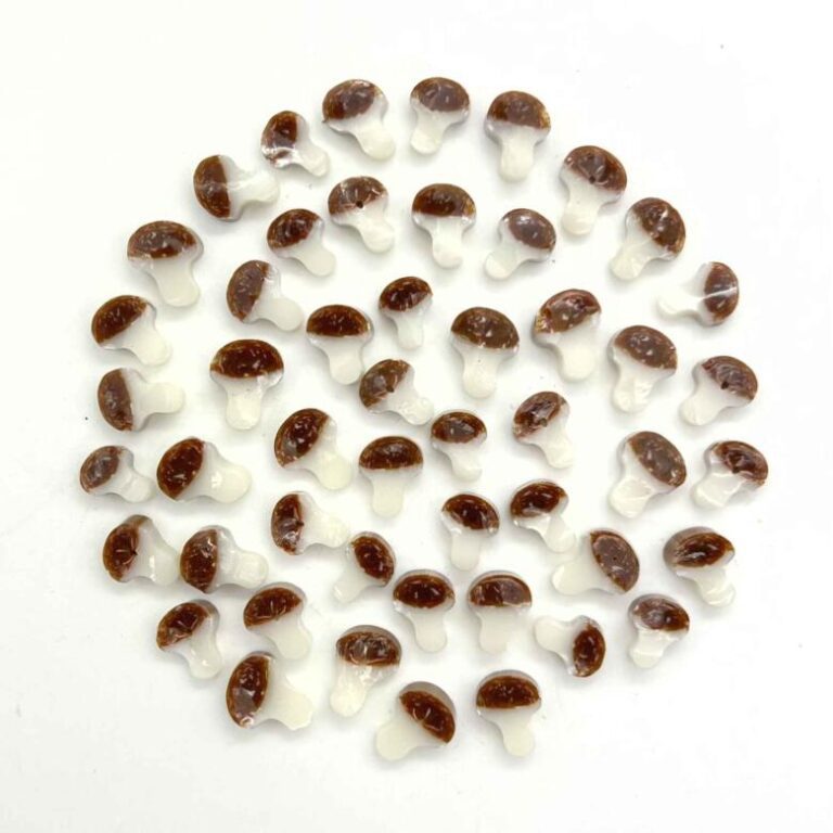 Bolete Mushrooms Millefiori Murrine COE090