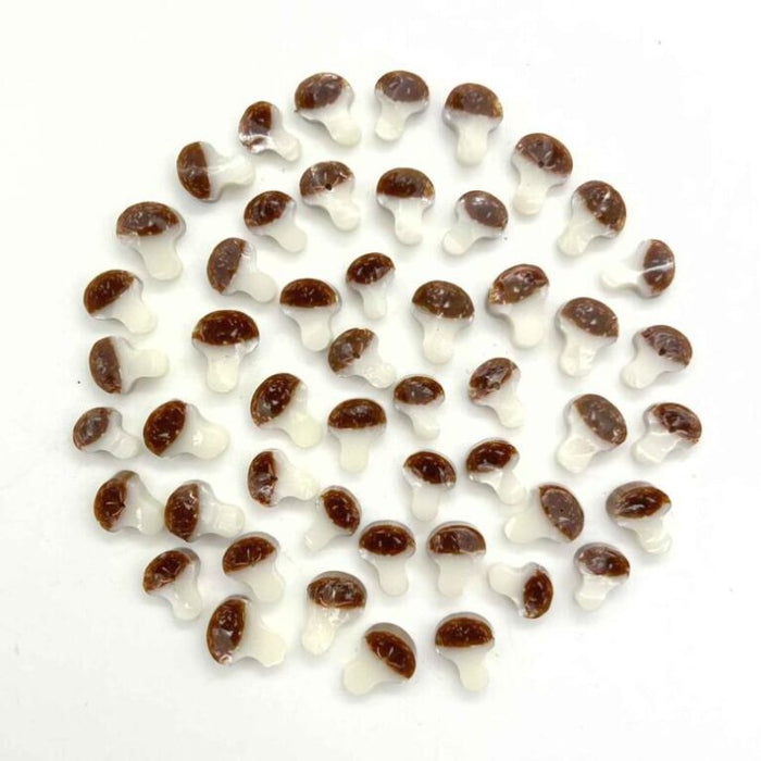 Bolete Mushrooms Millefiori Murrine COE090