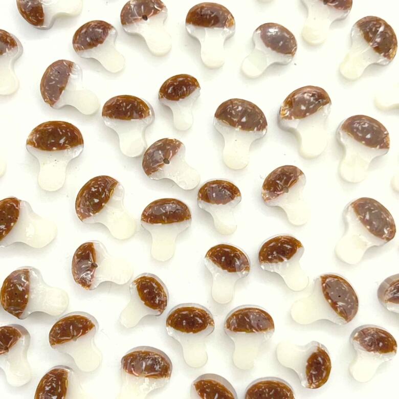 Bolete Mushrooms Millefiori Murrine COE090