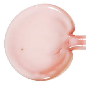 262 Powder Pink - chockadoo