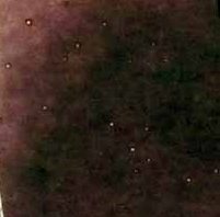 Lilac Transparent Thompson Enamel for COE Range 90-97 8756