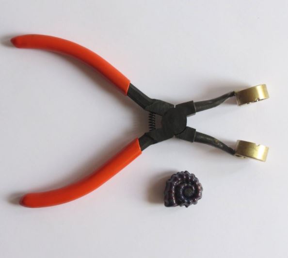 Ammonite Brass Mashers