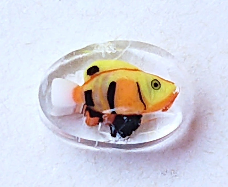 Marine fish Millefiori - chockadoo