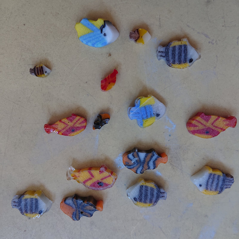 Marine Fish Millefiori Murrine COE096