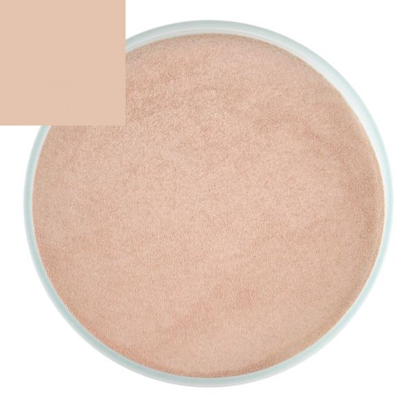 Light Brown Opaque Thompson Enamel for Float Glass 5110