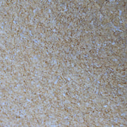 Dark Ivory Frit 276 - chockadoo