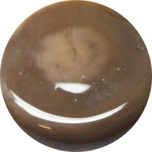 297 Coco Bean - chockadoo